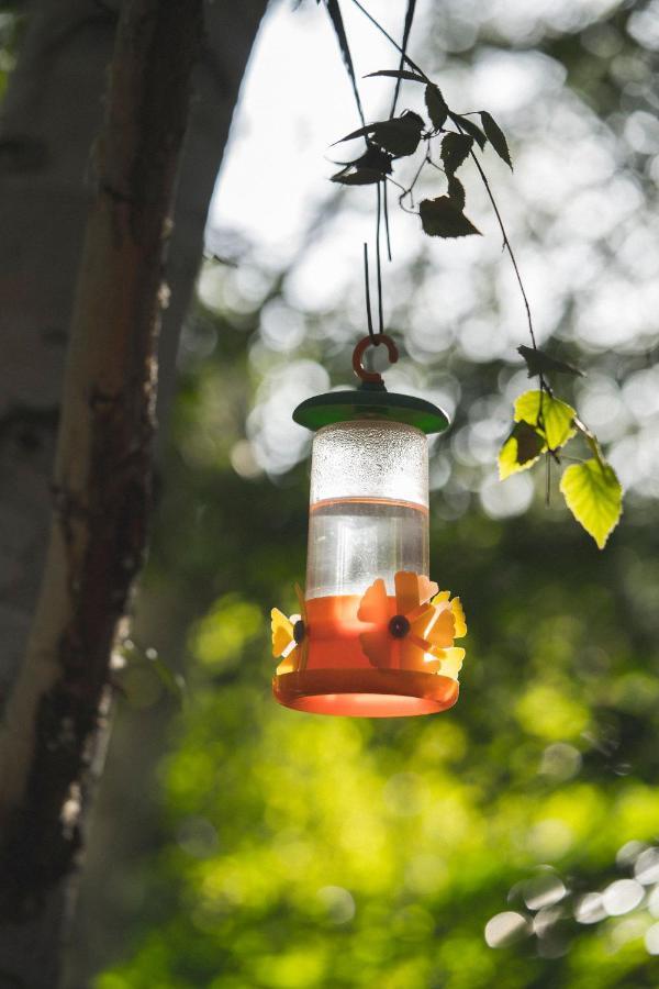 El Colibri Cabanas De La Naturaleza تريليو المظهر الخارجي الصورة
